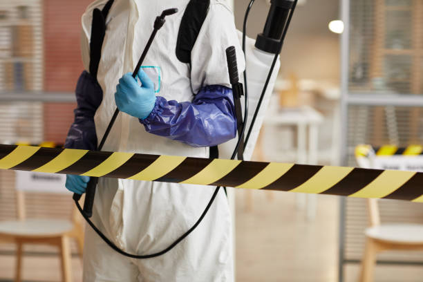 Professional Biohazard Cleanup technician working in Brandon, FL